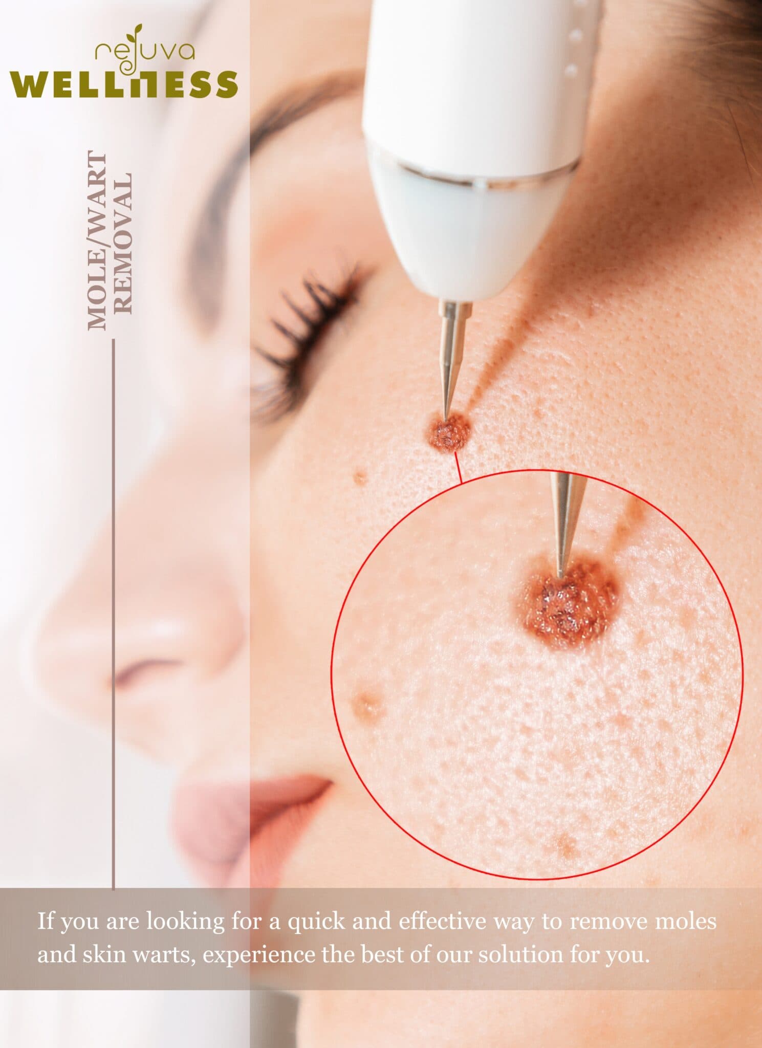 Rejuva Wellness Service 19